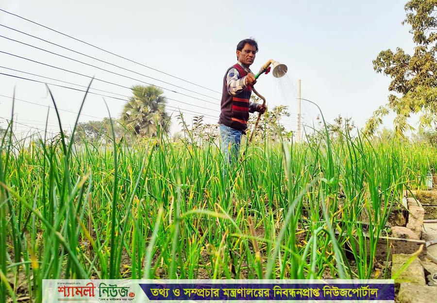 ৭৫ টাকায় স্বপ্ন বুনছেন সবুজ মিয়া