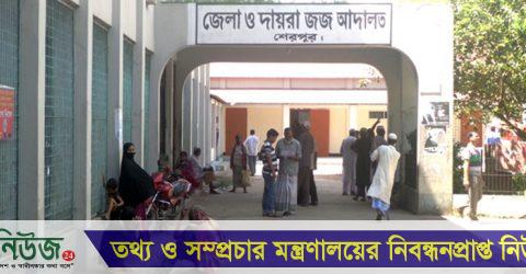 শেরপুরে গৃহবধূকে গাছে বেঁধে মারধর, দুই ভাইকে কারাদণ্ড