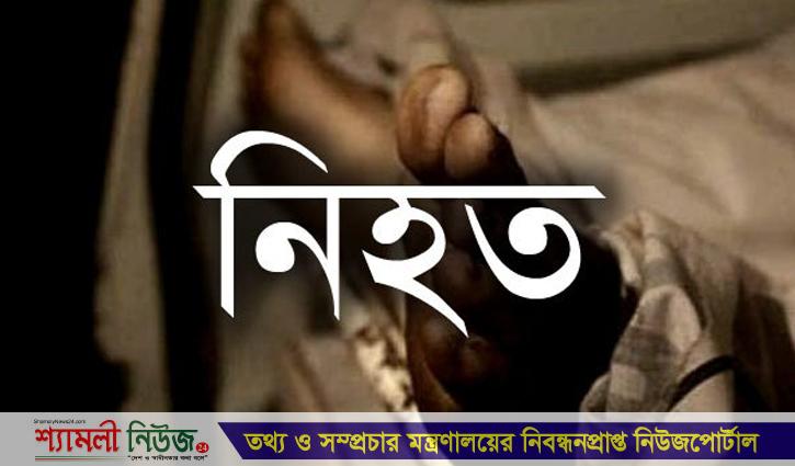 ঝিনাইগাতীতে পৃথক ঘটনায় ২ জন নিহত