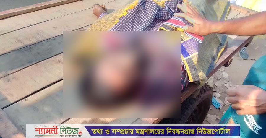 শেরপুরে পৃথক সড়ক দুর্ঘটনায় নিহত ২