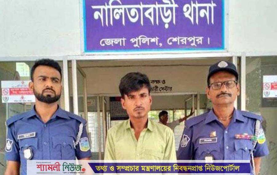 নালিতাবাড়ীতে ইয়াবা সেবনের অপরাধে যুবকের ৬ মাসের কারাদণ্ড