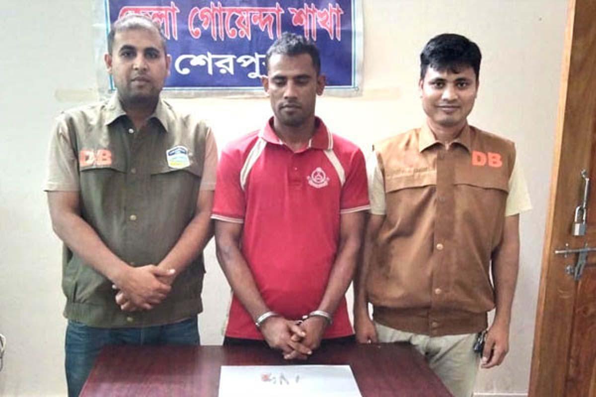 শেরপুরে ৫০ পিস ইয়াবাসহ ইউপি সদস্য গ্রেপ্তার