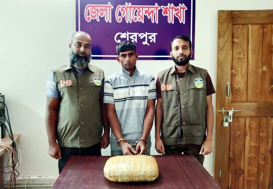 শেরপুরে ডিবি পুলিশের অভিযানে ২ কেজি গাঁজাসহ মাদক ব্যবসায়ী গ্রেফতার