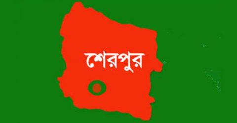 শেরপুর জেলা পরিষদ, উপজেলা পরিষদ ও পৌরসভাসমূহে প্রশাসকের দায়িত্ব পেলেন যারা