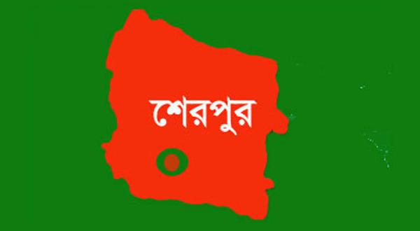 শেরপুর জেলা পরিষদ, উপজেলা পরিষদ ও পৌরসভাসমূহে প্রশাসকের দায়িত্ব পেলেন যারা