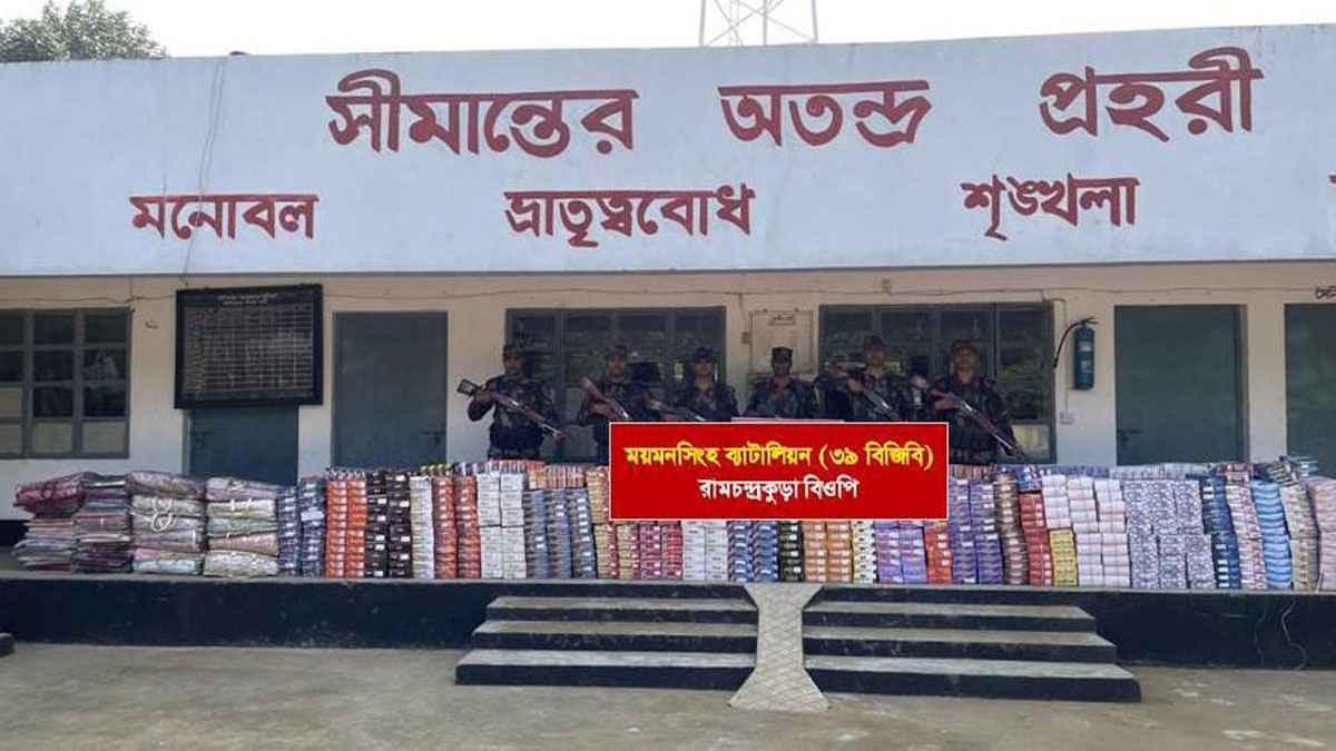 নালিতাবাড়ীতে সীমান্তে ২ কোটি ৩২ লাখ টাকার ভারতীয় পণ্য জব্দ
