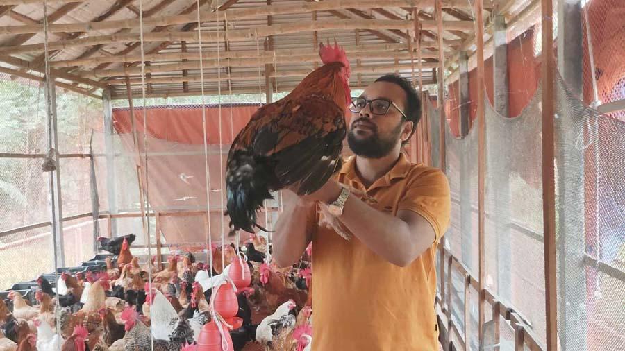 টাইগার মুরগি লালন-পালন করে বাজিমাত নকলার রনির