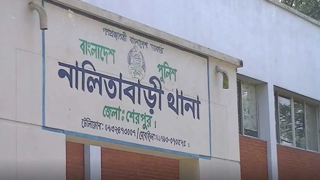 নালিতাবাড়ীতে লিচুর বিচি গলায় আটকে প্রাণ গেল শিশুর