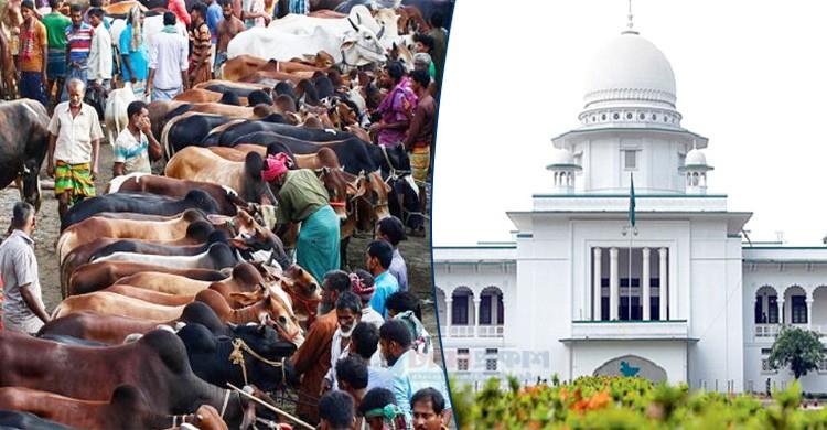 আফতাবনগরে বসছে না পশুর হাট: হাইকোর্ট