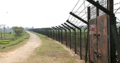 ঠাকুরগাঁও সীমান্তে বিএসএফের হাতে এক বাংলাদেশি আটক