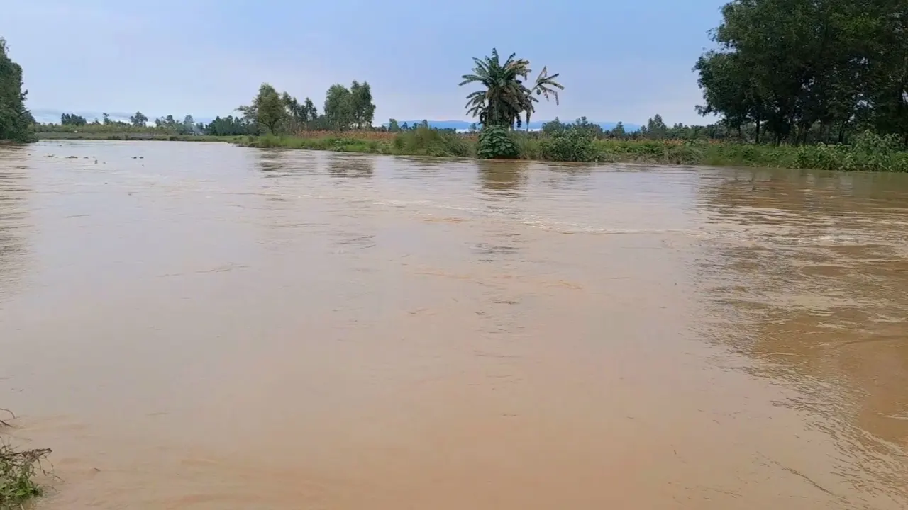 শেরপুরে বন্যার শঙ্কা, বিপৎসীমায় চেল্লাখালী নদীর পানি