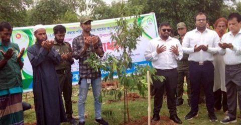 শ্রীবরদী সীমান্তে হাতি ও অন্যান্য বন্যপ্রাণী খাদ্য উপযোগী বাগানে গাছের চারা রোপনের উদ্বোধন