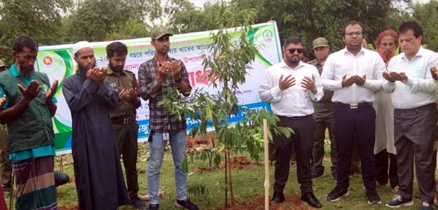 শ্রীবরদী সীমান্তে হাতি ও অন্যান্য বন্যপ্রাণী খাদ্য উপযোগী বাগানে গাছের চারা রোপনের উদ্বোধন