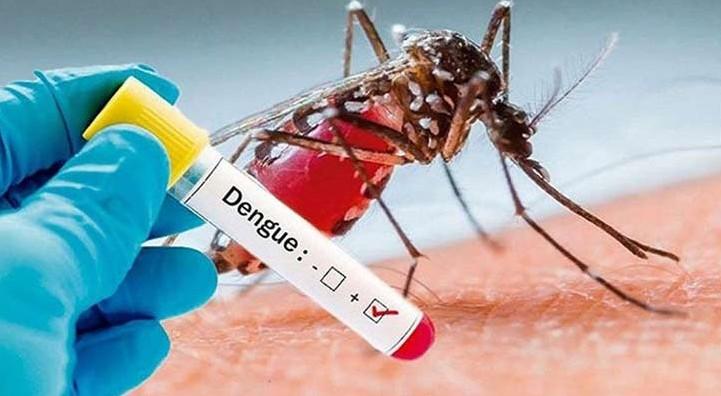 একদিনে রেকর্ড ৪২৯ জনের ডেঙ্গু শনাক্ত