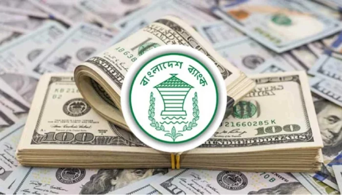 ১৯ দিনে রেমিট্যান্স এলো ১৫২ কোটি ২৩ লাখ ডলার