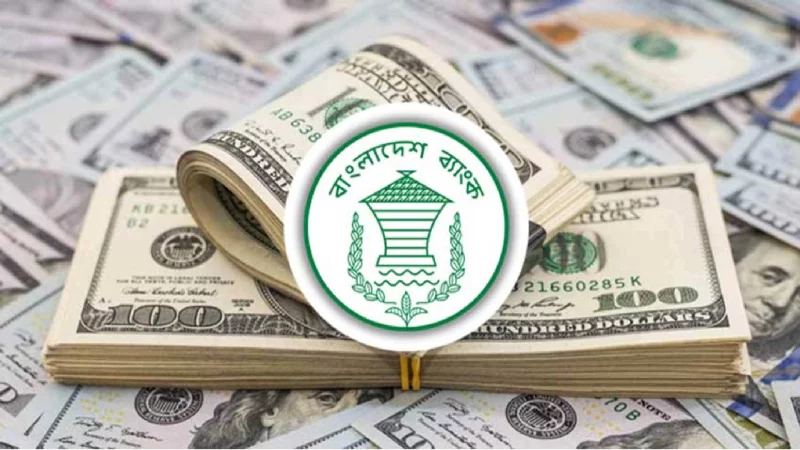 ১৯ দিনে রেমিট্যান্স এলো ১৫২ কোটি ২৩ লাখ ডলার