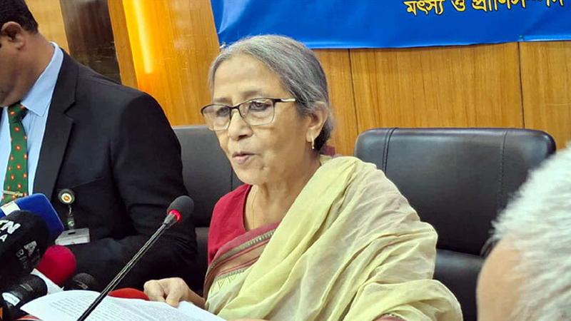 ইলিশের দাম বেশি হওয়ার কারণ সরবরাহ কম ও চাঁদাবাজি : উপদেষ্টা