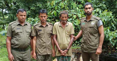 শ্রীবরদী সীমান্তে বন বিভাগের অভিযানে বনের গাছ চোর দলের এক সদস্য আটক